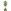 Azerbaijani Champion 2025